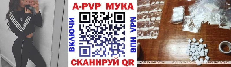 Alfa_PVP СК КРИС  Зубцов 