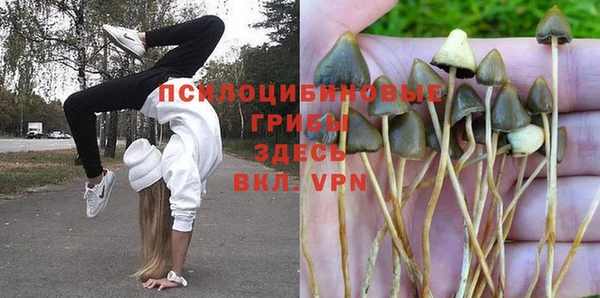 ешки Зерноград