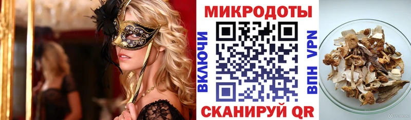 наркота  Зубцов  блэк спрут рабочий сайт  Галлюциногенные грибы Psilocybe 